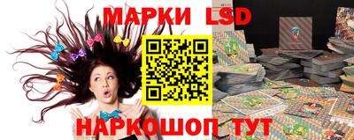 ешки Гай