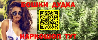 ешки Гай