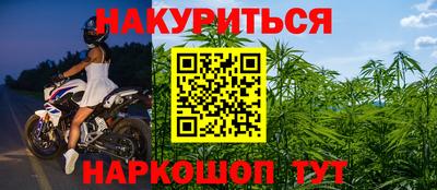 ешки Гай