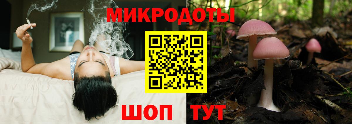 Реутов  Галлюциногенные грибы Psilocybe  Вход с VPN 