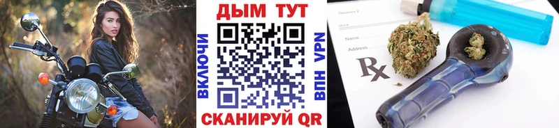 Каннабис сатива  Реутов 