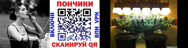 Канабис сатива Реутов